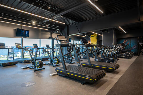 Fitness Park La Roche-sur-Yon